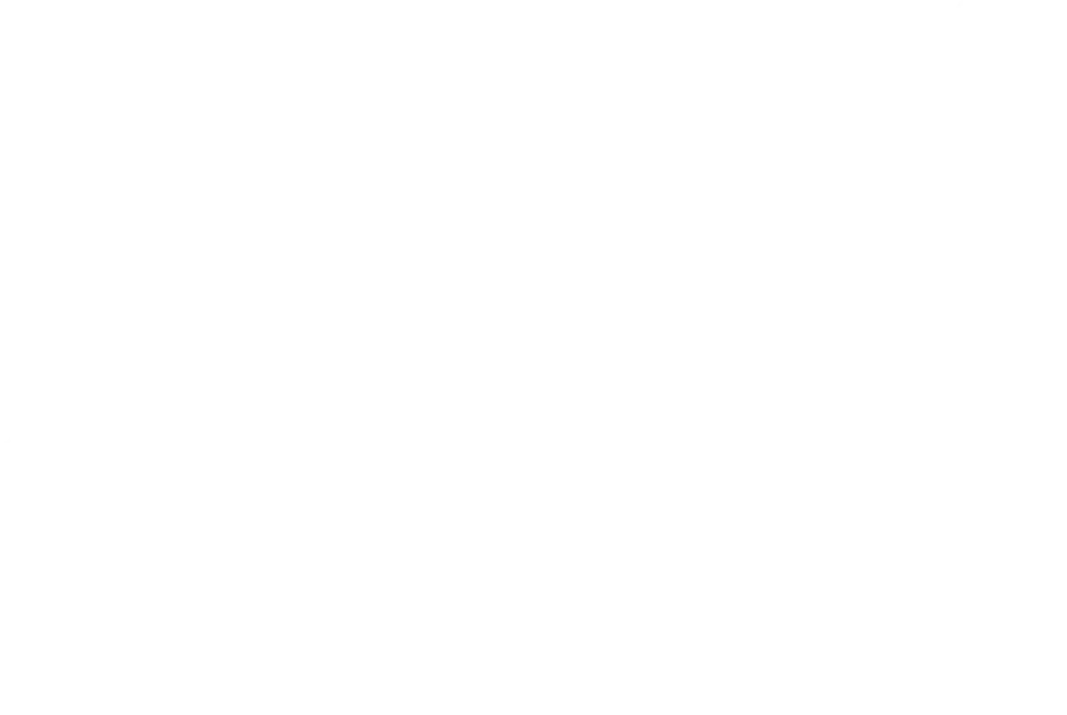 Saudi Vision 2030